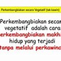 Perkembangbiakan Vegetatif Dengan Cara Stolon